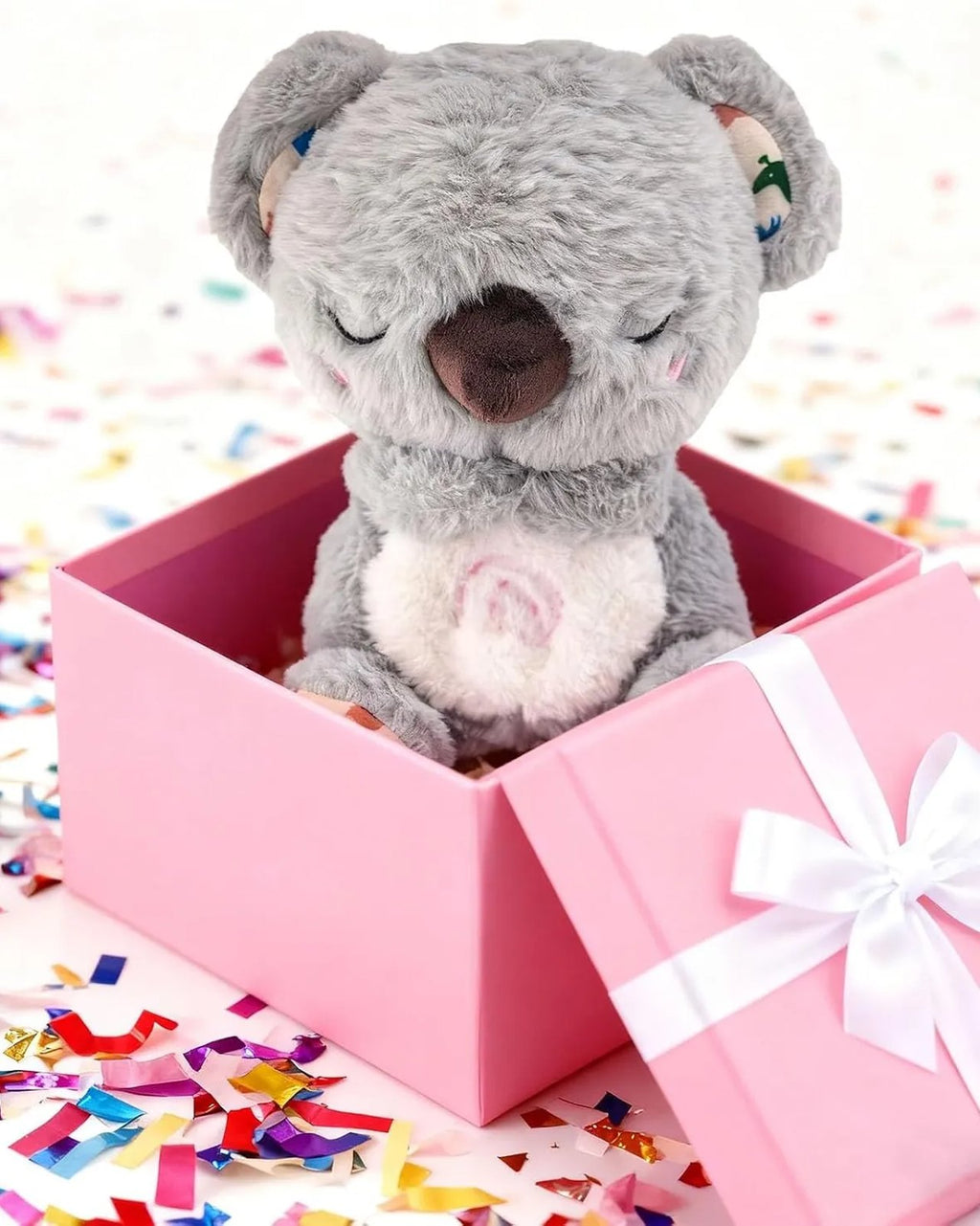 Kip the Koala, gift box