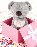 Kip the Koala, gift box