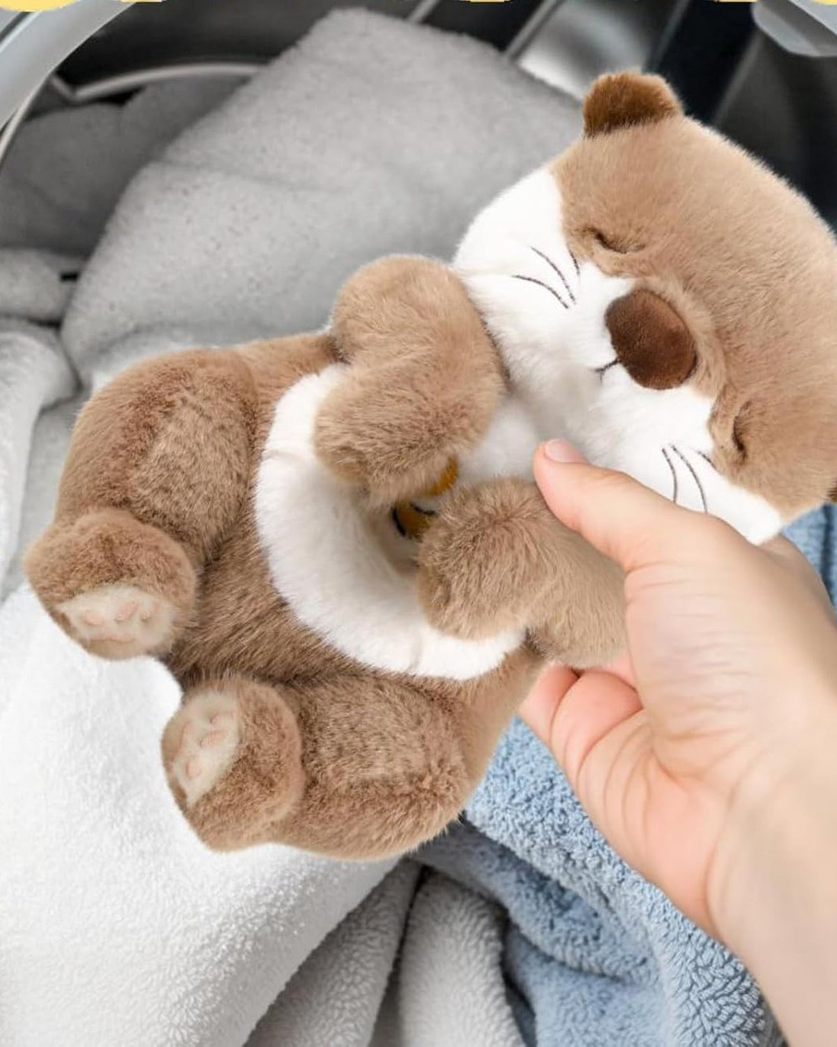 Ollie the Otter, washing